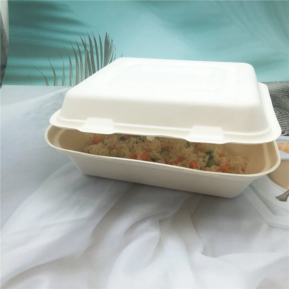 Biodegradable Takeaway Bagasse Food Containers