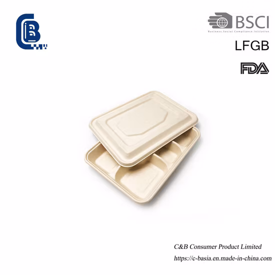 Sugarcane Bagasse Fast Food Container Box