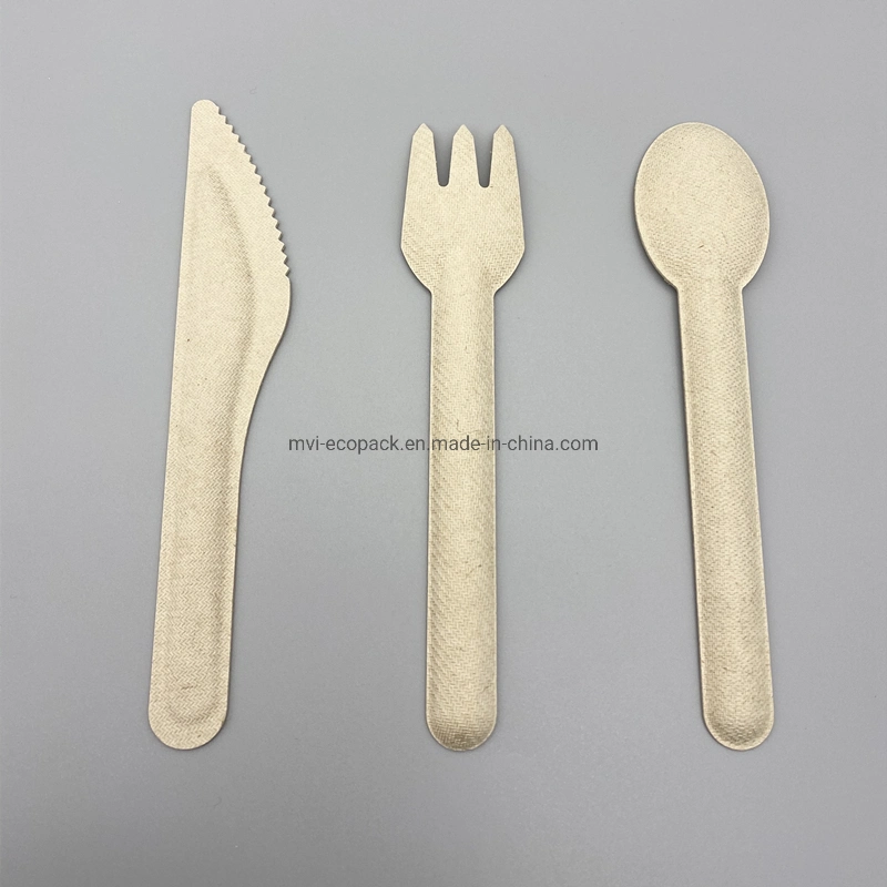Disposable Sugarcane Bagasse Paper Cutlery Set Biodegradable Biodegradable Knife Fork Spoon