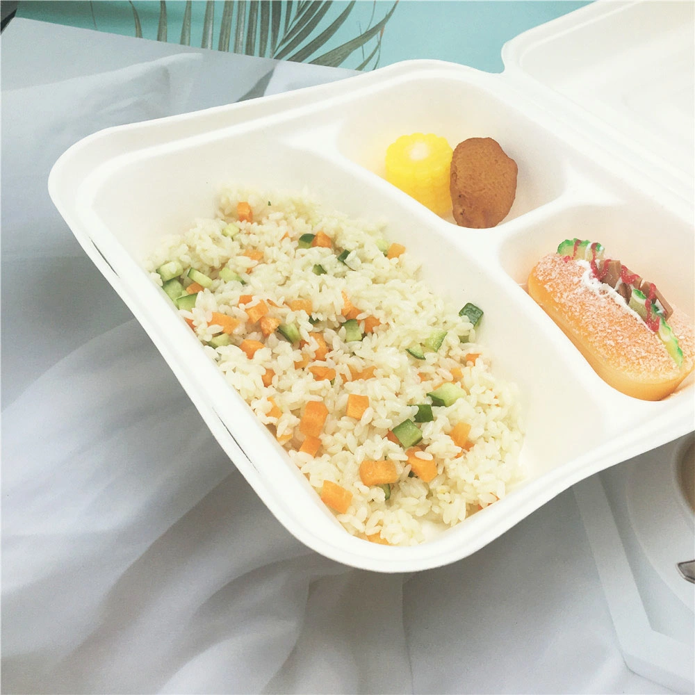 Biodegradable Takeaway Bagasse Food Containers
