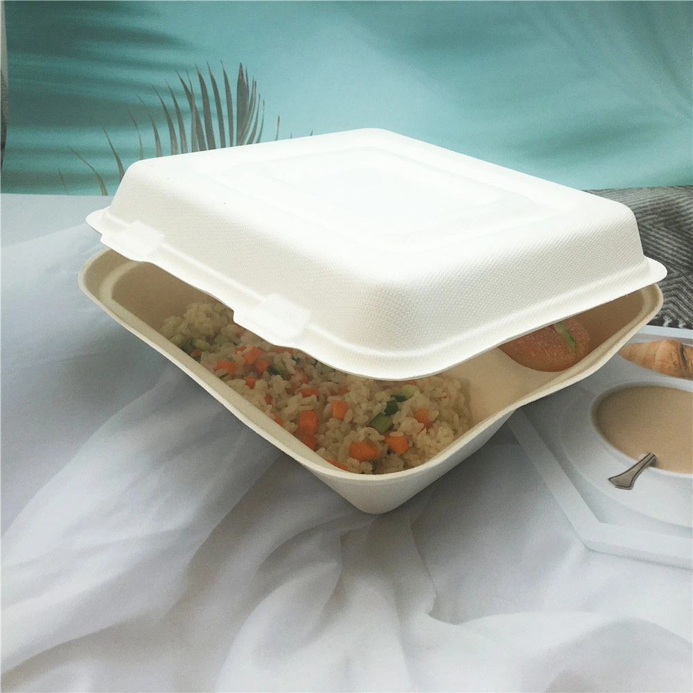 Sugarcane Bagasse Fast Food Container Box
