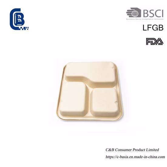 Sugarcane Bagasse Fast Food Container Box