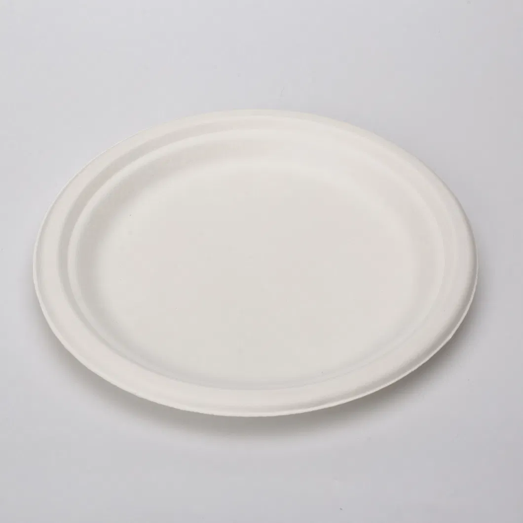 Biodegradable Bagasse Pulp Disposable Fully Degradable to-Go Lunch Box Plate Bowl Salad Box Dessert Tableware Compostable Plates and Cutlery