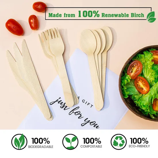 Disposable Wooden Spoons and Fork Environmentally Friendly Biodegradable Wood Tableware Cutlery Set
