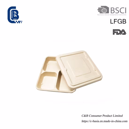 Sugarcane Bagasse Fast Food Container Box