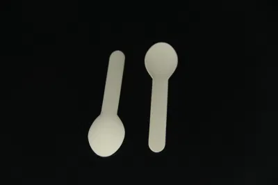 Spoons and Biodegradable Spoon Fork Knife Cutlery Sets Disposable Paper Bagasse Plate Cutlery