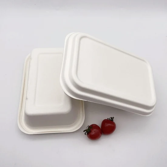 Disposable Baggasse Paper Box Take Away Container with Custom Printed