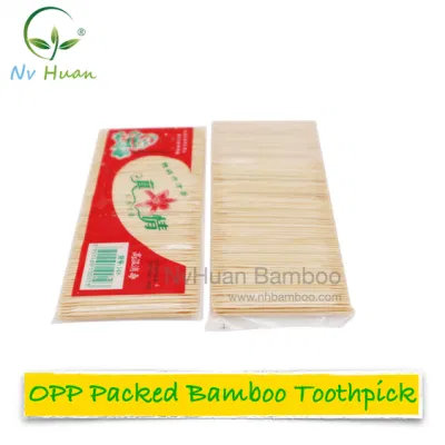 Loose Bamboo Toothpicks