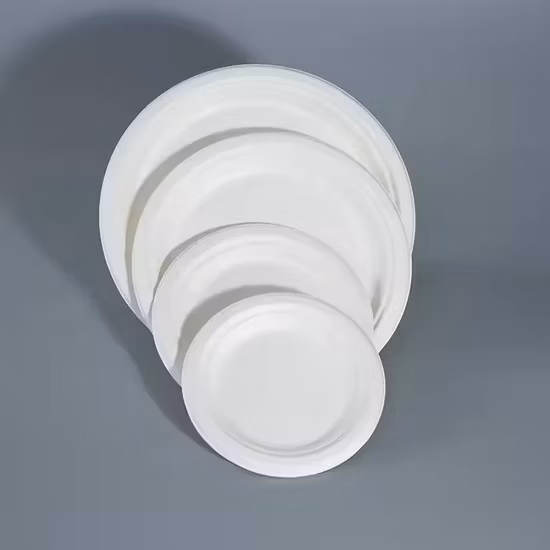 Biodegradable Bagasse Pulp Disposable Fully Degradable to