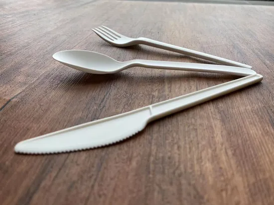Unbleached 6′′ Bagasse Biodegradable Knife Fork Spoon Sugarcane Cutlery 