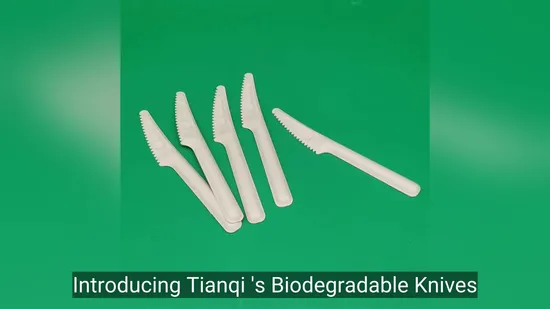 Biodegradable Sugarcane Bagasse Cutlery