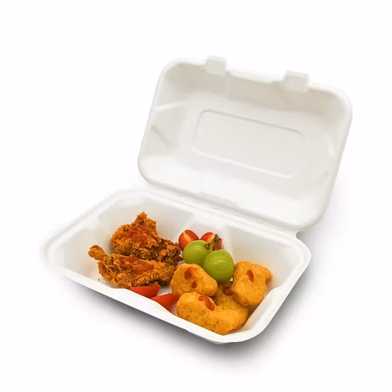 100% Biodegradable Sugarcane Bagasse Takeaway Food Container