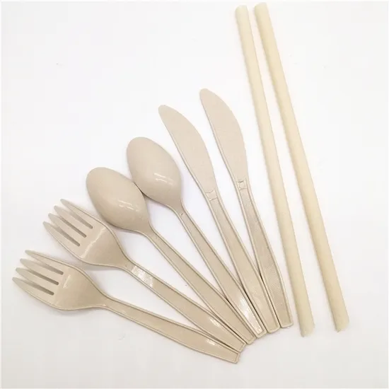High Quality Food Grade Disposable PP Fork and Knife 
