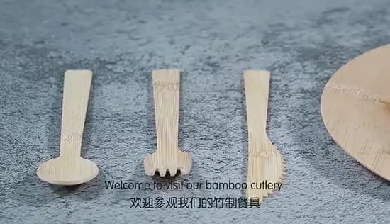 Customized Logo Acceptable Bamboo Cutlery Disposable for Wedding 
